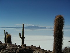 ウユニ塩湖